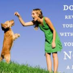 dont-reward-yourself