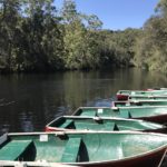 lane cove